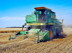 Комбайнер, научный сотрудник в Китай и капитан в Индонезию - ТОП-5 самых «дорогих» и интересных вакансий июня в Волгоградской области