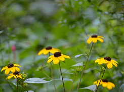 Оперштаб Волгоградской области сообщил подробности о двух новых погибших, которых убил COVID