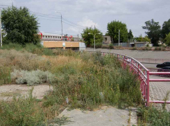 На привокзальной неухоженной территории в Камышине все заросло травой «по пояс», - камышанка