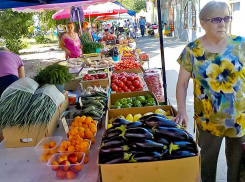 «Единая Россия» в Волгоградской области вникла, что и почем должны положить рядовые граждане в борщ