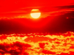 В Камышинской колонии №5 обнаружен труп осужденного