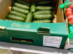 Огурцы в Камышине установили новый ценовой рекорд