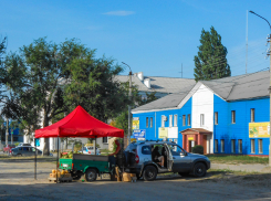 В Камышине растет число стихийных «арбузных» палаток