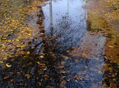 В Камышине следственная группа срочно выехала в поселок Нефтебазы по поводу обнаруженного тела мужчины, решившего уйти из жизни