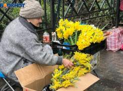 Десятки тонн мимозы ввезли из Абхазии через таможенный пункт Сочи  