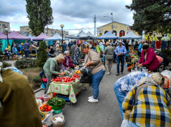 В Камышине стихийный рынок у «Победы» по осени «не помещается» в закоулках - что, тоже торговцы будут рассаживаться на улице Ленина? - камышанка