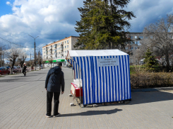 В Камышине очередной жертвой мошенников стал пенсионер, заказавший «ключи от домофона» и отдавший аферистам почти 2 с половиной миллиона накоплений