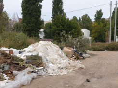 Сколько еще элитный садик в элитном микрорайоне будет утопать в кучах мусора и зарослях амброзии? - камышанка