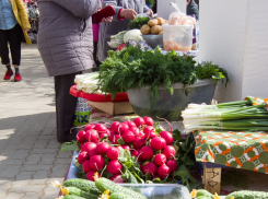 Дождливо и прохладно будет в Камышине 30 марта