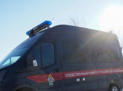 В Камышине 71-летний пенсионер месяцами насиловал 12-летнюю девочку, - «Блокнот Волгограда»