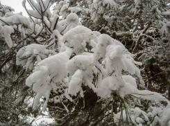 Сегодня в Камышине слабый снег, завтра - сильный