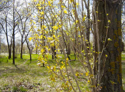 Коронавирус чуть сбавляет темпы наступления в Волгоградской области: плюс 16 больных за сутки
