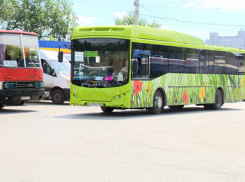 Камышинские водители пока не могут подать всем пассажирам безопасные автобусы