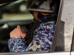 В Камышине росгвардейцы препроводили в полицию горожанку, укравшую в магазине несколько килограммов сыра