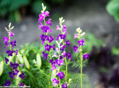 В Камышин пришло легкое похолодание на два дня