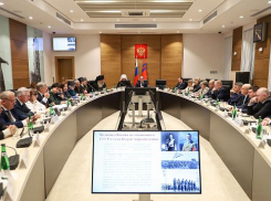 Депутаты Волгоградской облдумы тайно отчитались о доходах за 2024 год, - портал «Высота 102»