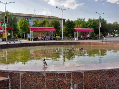 Камышане просят власти города в 35-градусную жару пустить фонтаны «без графика», ежедневно