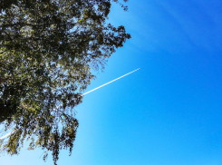 Камышане стали панически напрягаться от самолетных следов в небе и «тайны» радиационного обследования территорий  Волгоградской области