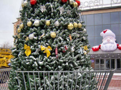 Какие важные для камышан законы вступят в жизнь с 1 января 2024 года, то есть с сегодняшнего дня