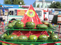 К чести организаторов Камышинского Арбузного фестиваля, на его площадках продавались очень качественные полосатые ягоды
