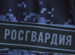 В Камышине росгвардейцам попалась магазинная воровка