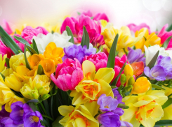 Исполнительный директор ООО «Любимый город»: Сергей Агафонов: «У нас особенный город и особенные женщины»