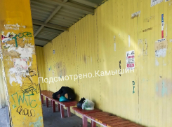 На остановке в Камышине живут двое бомжей - спят здесь, туалет устроили...