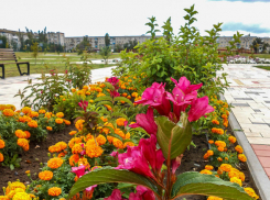  Камышанам природа предлагает порадоваться свежести, а +25 уже на подходе