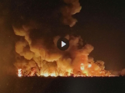 Клубы огня и дыма перепугали камышан, проезжавших по дороге на Петров Вал (ВИДЕО)