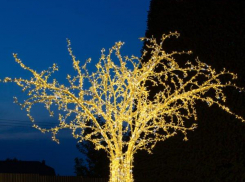 В администрации Камышина рассказали о светящемся дереве, качелях и арт-объектах у плоского фонтана на набережной