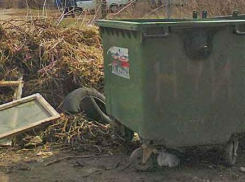 В Камышине кто-то сжег сразу три пластиковых контейнера для мусора