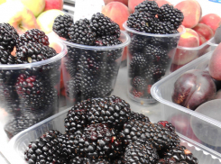 В Камышине подорожала садовая ежевика