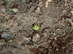 В Волгограде задержан распространитель наркотиков из Камышина