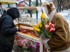 Атаку БПЛА отразили в Волгоградской области  
