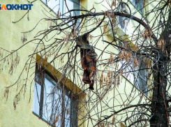 За жизнь 4-летнего выпавшего из окна волжанина борются реаниматологи в Волгограде, - «Блокнот Волжского»