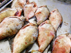 В России утвердили список из 24-х продуктов для оперативного контроля цен  на них
