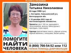Поисковый отряд «Лиза Алерт» и полиция ищут исчезнувшую в жуткие холода сельчанку из Камышинского района
