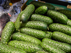 Прогноз Госдумы по ценам сбылся в магазинах Волгоградской области