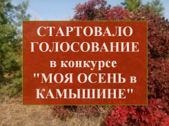 Стартовало голосование в Конкурсе «Моя осень в Камышине» на сайте «Блокнот Камышин»