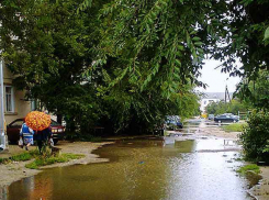 «Неужели чтобы пройти по тротуару после летнего дождя в городе, надо надевать резиновые сапоги?» - камышанка