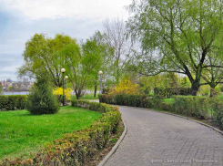 Камышин продолжает хоронить скончавшихся от коронавирусных осложнений