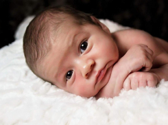 Камышин четко следует региональной тенденции: в нем умирает в полтора раза больше жителей, чем рождается