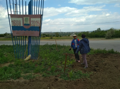 Рабочие «Благоустройства» вдогонку минувшей весне разбивают клумбы в Камышине