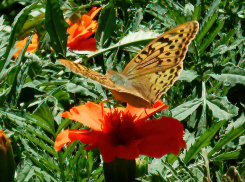 Ясные выходные дни с летними температурами ждут камышан 4-5 октября