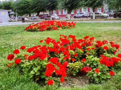 В Камышине среди территорий благоустройства, за которые голосуют горожане, лидер прежний
