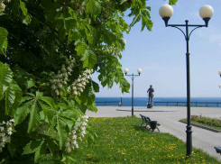 Из-за театрального фестиваля власти Камышина решили перекрывать дороги