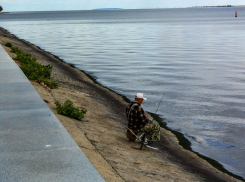 Специалисты исследовали, от чего чаще всего умирают жители Волгоградской области