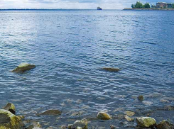 Спасателям пришлось «вылавливать» в Камышинке путешественницу, которую ветром несло на плавсредстве в Волгу