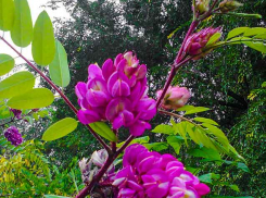 Сентябрь с летними погодными температурами продолжает радовать камышан