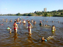 Роспотребнадзор в Волгоградской области предупредил купальщиков о паразитах на пляжах